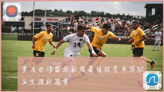 贾马尔穆雷荣获周最佳称号书写职业生涯新篇章