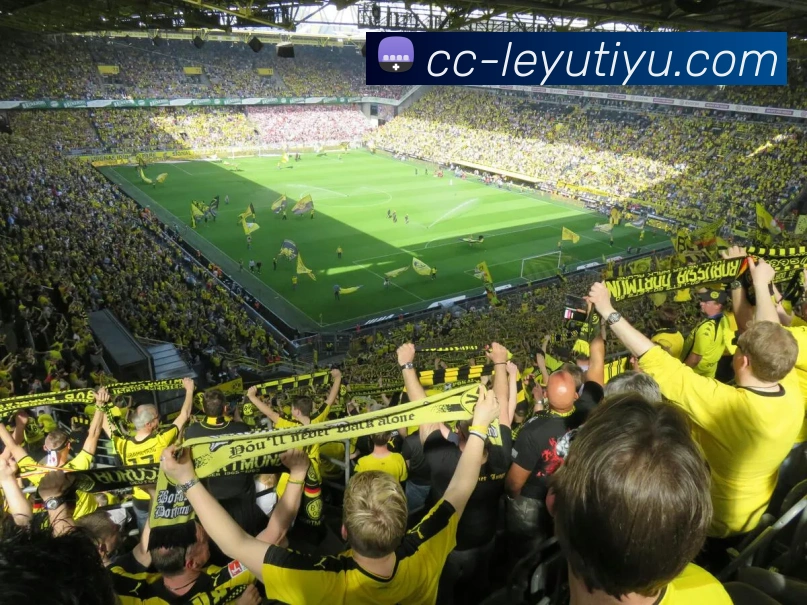 乐鱼体育发展历程